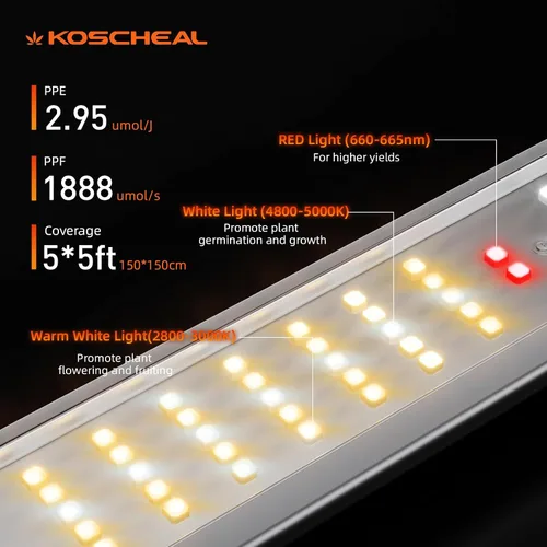 Vista 3 de KOSCHEAL Luz LED plegable K640 de 640 W, lámpara de planta de espectro completo con 2.95 µmol/J y 660nm rojo, controlador y atenuador Inventronics