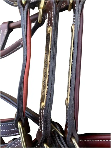 Vista 7 de Leaders - Cabestro acolchado de cuero para caballos con placa de nombre grabada personalizada con opción halter para caballo