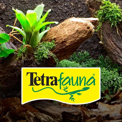 Vista 8 de Tetra ReptoMin Baby - Palitos flotantes para alimentos de 0.92 onzas, para tortugas acuáticas pequeñas, tritones y ranas (paquete de 36)