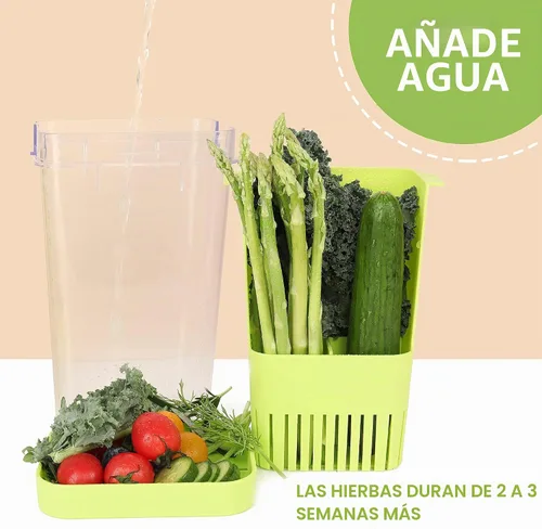 Vista 5 de LUVCOSY Herb Keeper, protector de hierbas de plástico sin BPA con una cesta interior para cilantro, menta, perejil y espárragos, mantiene