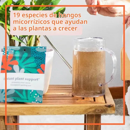 Vista 5 de Soporte instantáneo para plantas Probióticos de suelo y micorrizas para plantas de interior y jardines de interior Sin olor - Sin polvo - Sin