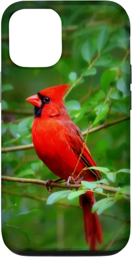 Vista 28 de Hermosa cardenal pájaro rojo escena de la naturaleza caso para iPhone 17