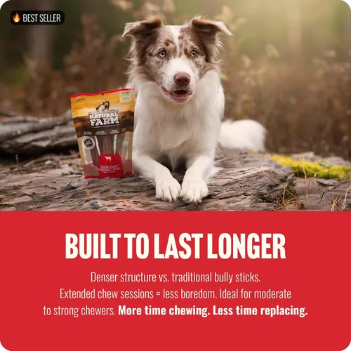 Vista 3 de Natural Farm Power Bully Sticks - Masticables para perros (4 pulgadas, 16 onzas), masticables 2 en 1: mejilla de res premium envuelta en pene