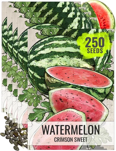 Vista 9 de Seed Needs Semilla de sandía dulce carmesí para plantar reliquia sin OMG 1 paquete