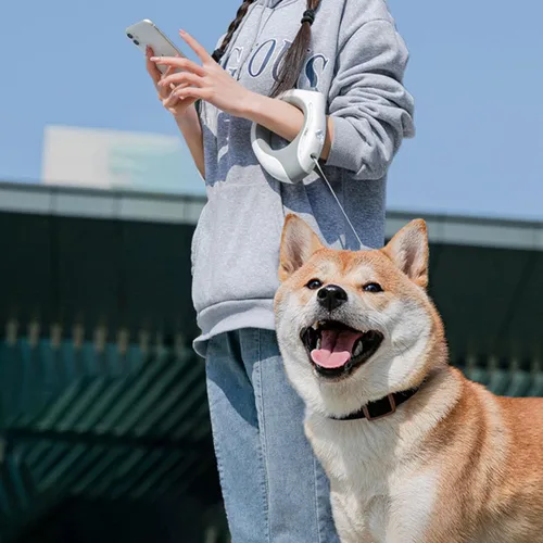 Vista 6 de Correa retráctil para perro con linterna, mango redondo recargable de 118 pulgadas con cerradura, luz de respiración ergonómica, para perros