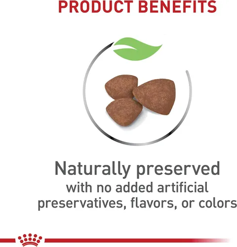 Vista 3 de Royal canin Tamaño Salud Nutrición Mini cachorro seco – Comida para Perro