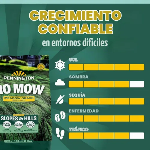 Vista 8 de Pennington Mezcla sin cortar, semillas de hierba de festuca, semillas