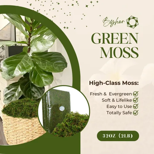 Vista 5 de Musgo artificial verde de 35 onzas (2.18 libras) para manualidades de interior, jardines de hadas, centros de mesa, decoración de boda