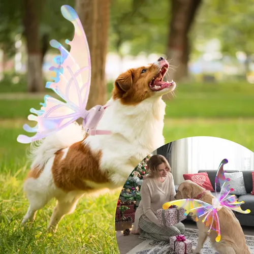 Vista 2 de Alas de mariposa LED para niñas, mujeres, perros, alas brillantes para mascotas con luces LED y música, alas iluminadas para adultos, alas