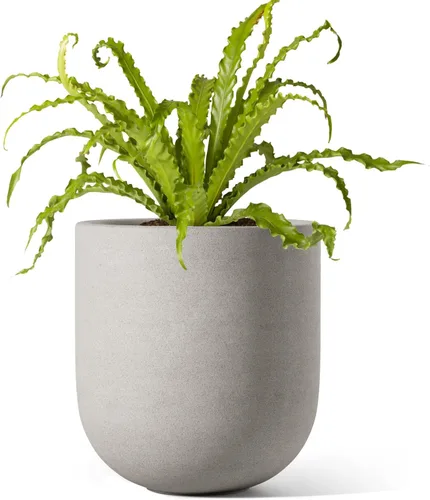Vista 13 de LE TAUCI Maceta para plantas de 10 pulgadas, macetas de cerámica para plantas con orificio de drenaje y tapón de goma, macetas para plantas