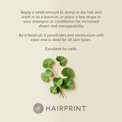 Vista 5 de Hairprint Daikon Aceite de semillas, hidratante y acondicionador ligero, nutre y suaviza el cabello y la piel, rico en ácidos grasos esenciales