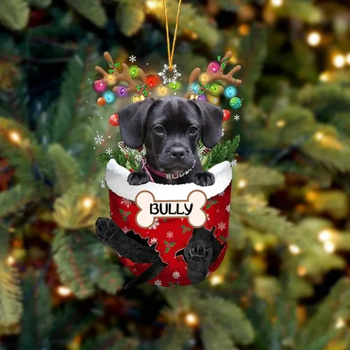 Vista 27 de IZI POD Affenpinscher Adorno de Navidad personalizado para perro, adorno de bolsillo de nieve para perro para árbol de Navidad, adorno acrílico