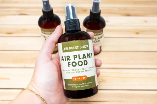 Vista 3 de Air Plants Fertilizante en botella de spray de niebla fina – Alimento vegetal para Tillandsia – Uso mensual para el crecimiento de plantas