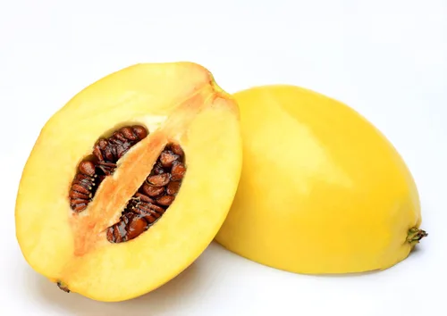 Vista 7 de 20 semillas de membrillo chino árbol frutal Chaenomeles Sinensis Pseudocydonia Flor Fruta Sin espinas