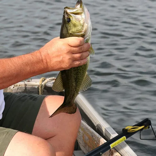 Vista 2 de Piaoyu Nuevo Juego de Pesca Multifuncional Automático con Caña de Pescar, Resortera y Flecha de Pesca, Dardo de Pesca