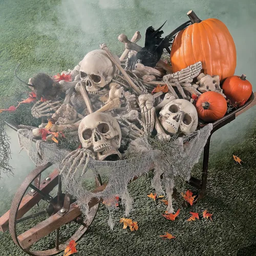 Vista 5 de Bolsa de huesos decoración de Halloween - 28 huesos más bolsa de malla - Scary Home Decor