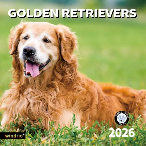 Vista 17 de Calendario de pared 2026, calendario 2026, noviembre de 2025 a diciembre de 2026, calendario de pared Beagles, 12 x 24 pulgadas abierto, página