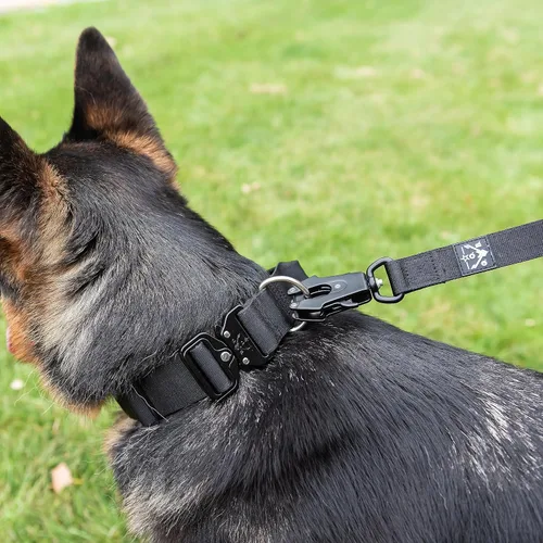 Vista 9 de Operation Good Boy - Collar táctico para perro, nailon duradero de grado militar con hebilla de liberación rápida y asa de entrenamiento, ajustable