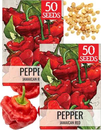 Vista 23 de Seed Needs - Semillas de pimiento arcoíris para plantar verduras, 1 paquete