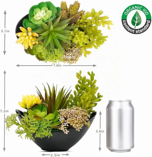 Vista 2 de Plantas suculentas artificiales en maceta de 7.2 pulgadas