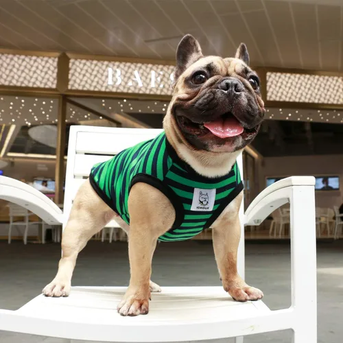 Vista 2 de iChoue - Camisetas de rayas de algodón 100% transpirable para Bulldog francés, chaleco de Halloween para perros medianos, camisetas Frenchie Pug