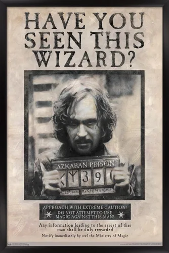 Vista 7 de Trends International El Mundo Mágico: Harry Potter - Póster de Buscado de Sirius Black, Póster de Pared, 14.725" x 22.375", Versión con Marco