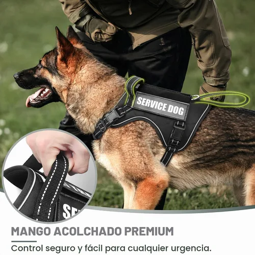 Vista 3 de WINSEE Arnés táctico para perro, arnés sin tirones para perros medianos y grandes con asa y Molle, arnés de servicio militar para perros pequeños