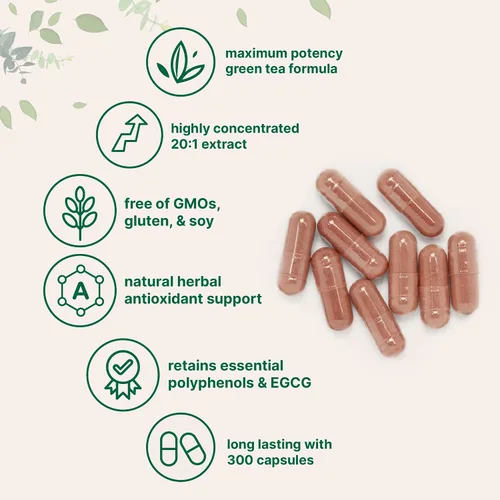 Vista 3 de Micro Ingredients Extracto de té verde extra fuerte, 300 cápsulas Suministro para 5 meses Suplemento antioxidante de polifenoles de máxima
