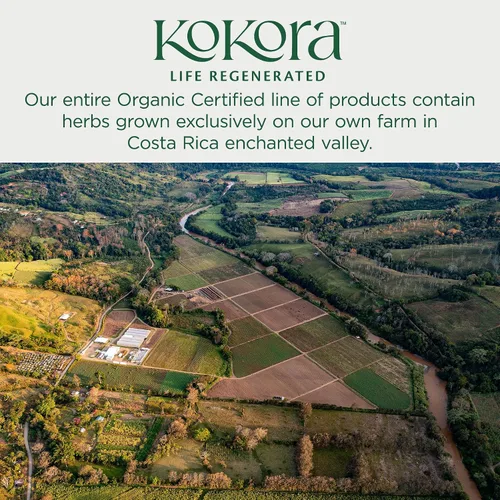 Vista 4 de kokora Adapt & Thrive - Apoyo energético y suprarrenal, alivio del estrés, relajación* - Polvo de hongos adaptogénicos orgánicos con Ashwagandha