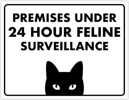 Vista 45 de Señal de Gato de 24 Horas de Vigilancia Felina de Premises Under 24 Hour - Cartel de gato divertido, metal, 8 x 12 pulgadas, letreros de gato