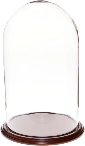 Vista 4 de Plymor 11.75" x 20" Pantalla de cristal Dome Cloche (base de nogal)