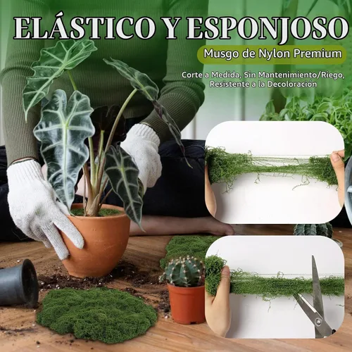 Vista 5 de Musgo artificial artificial de 5.3 onzas para manualidades, musgo decorativo preservado para plantas, jardín de hadas, bricolaje, paredes Verde