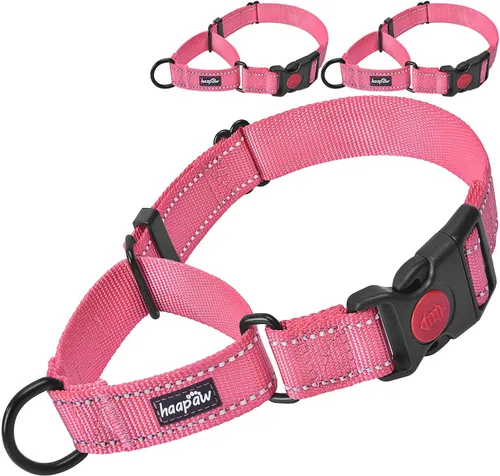 Vista 11 de haapaw Paquete de 2 collares de perro Martingale con hebilla de liberación rápida reflectantes para perros pequeños, medianos y grandes