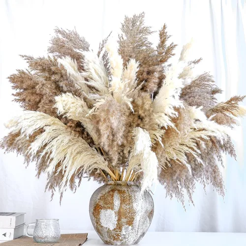 Vista 14 de Zacate de las Pampas Negro para Decoración del Hogar - Elegante Decoración Boho - Tallos de Alta Calidad de Zacate de las Pampas - Perfecto