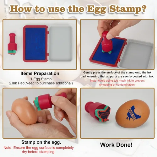 Vista 3 de Terwex Sellos de huevos personalizados para huevos frescos, sello de huevo personalizado con tu marcador de marca único, sello de huevo de larga