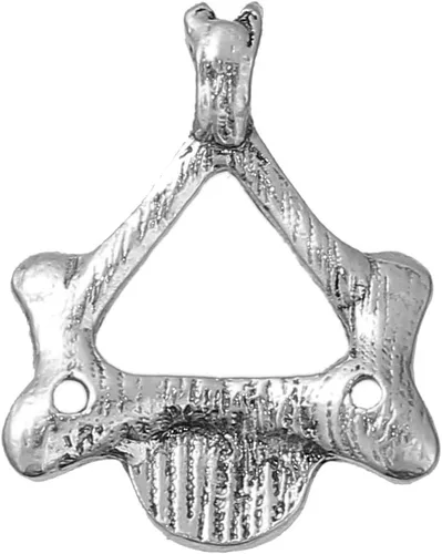 Vista 15 de Sexy Sparkles Medical Anatomical 3D Charm Pendant – Unisex Accessory for Necklaces, Bracelets, and Keychains