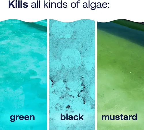 Vista 3 de HTH 67084 Pool Care Algae Guard Advanced, Eliminador de todas las algas para piscinas - Acción rápida, destruye y previene las algas verdes, negras