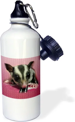 Vista 2 de 3dRose Botella de agua deportiva "Young Sugar Glider", 21 onzas, color blanco