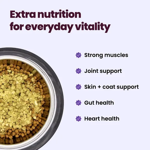 Vista 4 de Comida para perros, proteína de grillo, alternativa vegana y vegetariana de alimentos para perros, a base de insectos, probióticos, superalimentos