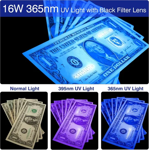 Vista 8 de ULTRAFIRE Linterna UV de la luz negra de 16W 365nm con la lente de filtro
