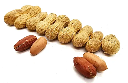 Vista 2 de Gamar Foods - Cacahuate Chamuscado Con Cascara - Cacahuate - Cacahuate Chamuscado Con Cascara - Cacahuates Premium Peanuts
