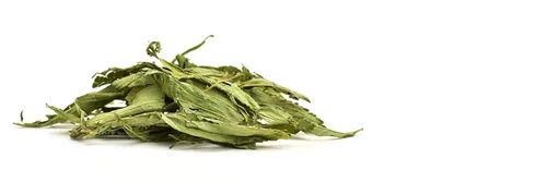 Vista 4 de Buy Wellness Stevia Leaf Raw Certified Organic 8 oz (1/2 lb) Pure Sweet Leaf Stevia SIN amargura, dulzura natural y cero calorías.