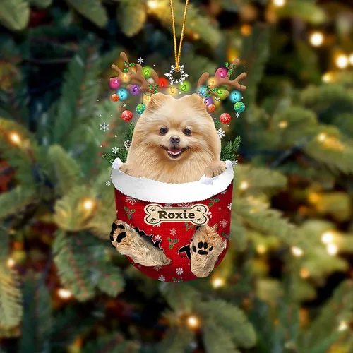 Vista 164 de LOVELYPOD Adorno Personalizado de Perro Affenpinscher, Adornos de Navidad Affenpinscher Regalo para Amante de Perros, Adorno de Navidad Colgante