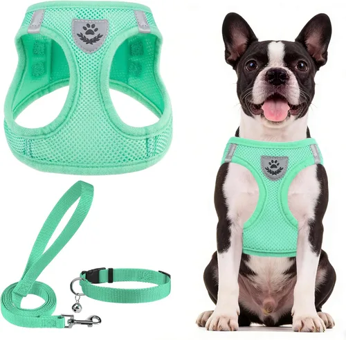 Vista 35 de PUPTECK - Arnés, collar y correa ajustables, sin tirones, para perros pequeños y medianos, cachorros y gatos, pechera reflectante acolchada de malla
