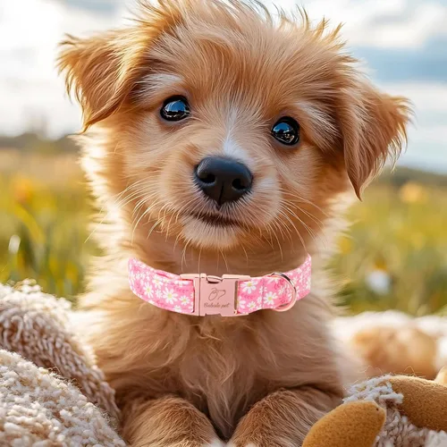 Vista 237 de Collar para perros del 4 de julio, collares patrióticos azules para cachorros y perros pequeños, ligero y ajustable 1776 collares para cachorros