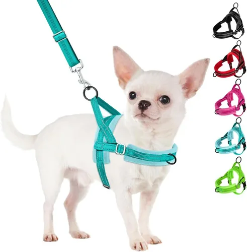 Vista 16 de SlowTon - Juego de arnés y correa para perros pequeños sin tirones, chaleco suave ajustable para cachorros para el cuello y el pecho, arnés