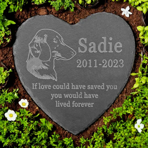 Vista 7 de Memorial personalizado de American Staffordshire Terrier, lápida de American Staffordshire Terrier, condolencias por pérdida de American