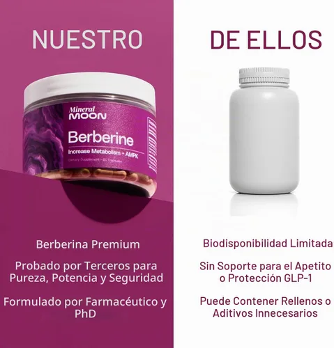 Vista 8 de Suplemento de berberina de primera calidad, composición corporal, 60 cápsulas - con Cissus Quadrangularis y fitosoma de berberina - Apoya