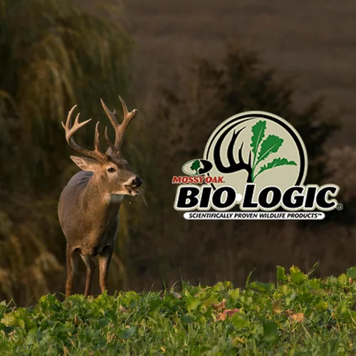Vista 5 de BioLogic Aditivo de rendimiento para parcelas de achicoria, semillas de aditivo de cultivo de achicoria, fuente de proteína ideal para áreas secas