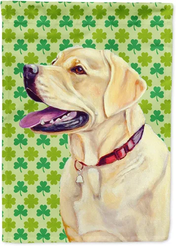 Vista 190 de Caroline's Treasures SS4442GF Affenpinscher Bandera de jardín con retrato de trébol del día de San Patricio para buzón, bandera decorativa